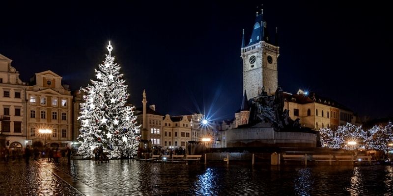 Prague Christmas Trees