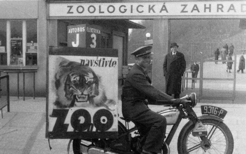 zoo prague anniversary